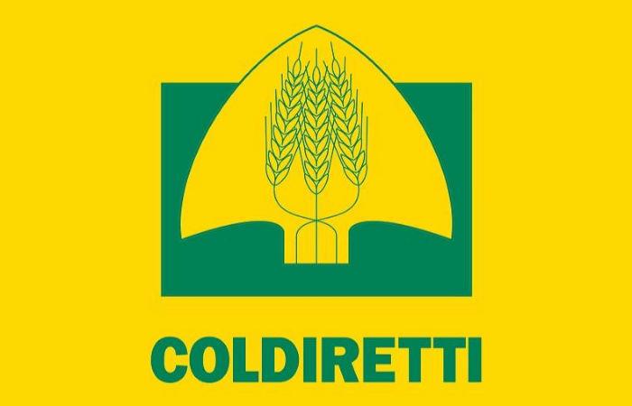 Dissesto idrogeologico, Coldiretti: “La provincia di Salerno tra le più a rischio d’Italia”